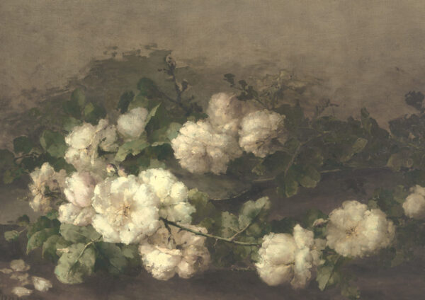 0013 vintage painting of garden roses. White rose painting.