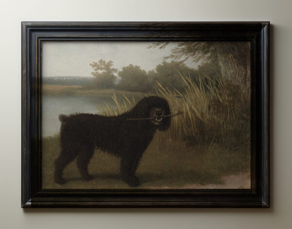 Spanish water dog oil painting from 1700s and professionally giclee printed and mounted by Ellis & Alexander