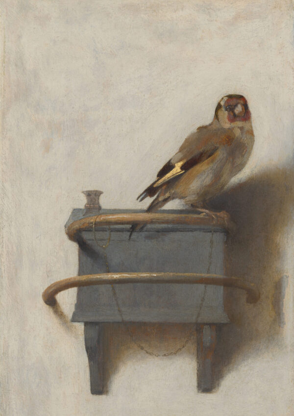 0059 vintage farmhouse style watercolour print from the 1600s of a goldfinch. Ellis & Alexander