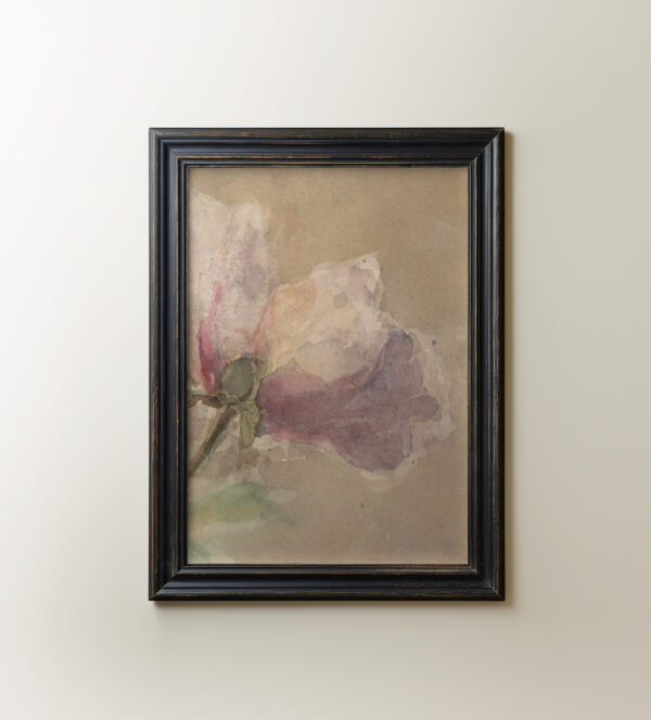 0084 pink rose digitally remastered vintage art from the early 19th century